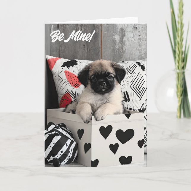 Tarjeta de San Valentín de cachorro pekinés (Anverso)