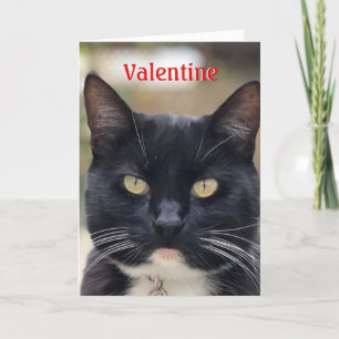 Tarjeta de San Valentín de gato