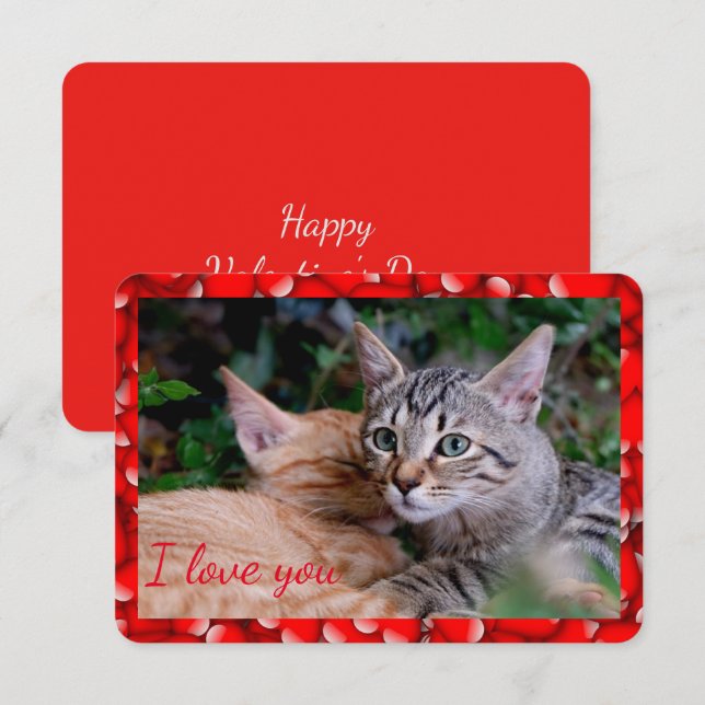 Tarjeta de San Valentín de Gato Adorable (Anverso / Reverso)