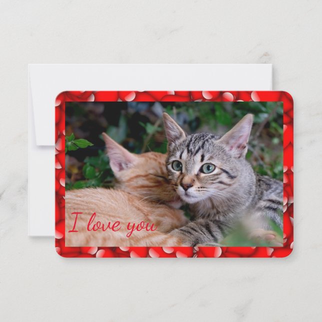 Tarjeta de San Valentín de Gato Adorable (Anverso)