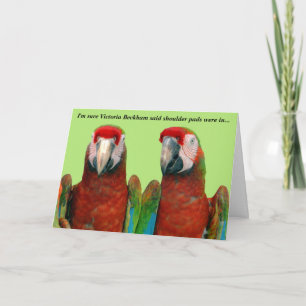 Tarjeta de San Valentín de loro 004