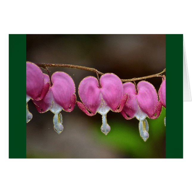 Tarjeta de San Valentín del corazón sangrado (Anverso (Horizontal))