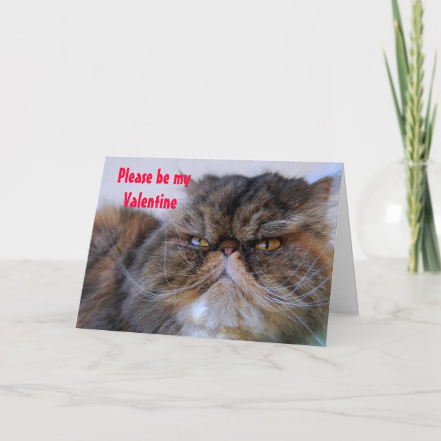 Tarjeta de San Valentín romántico calico persa (Anverso)