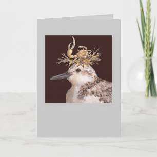 tarjeta de sanderling, Gidget