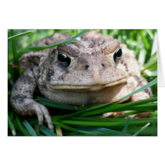tarjeta de sapo de personalizable