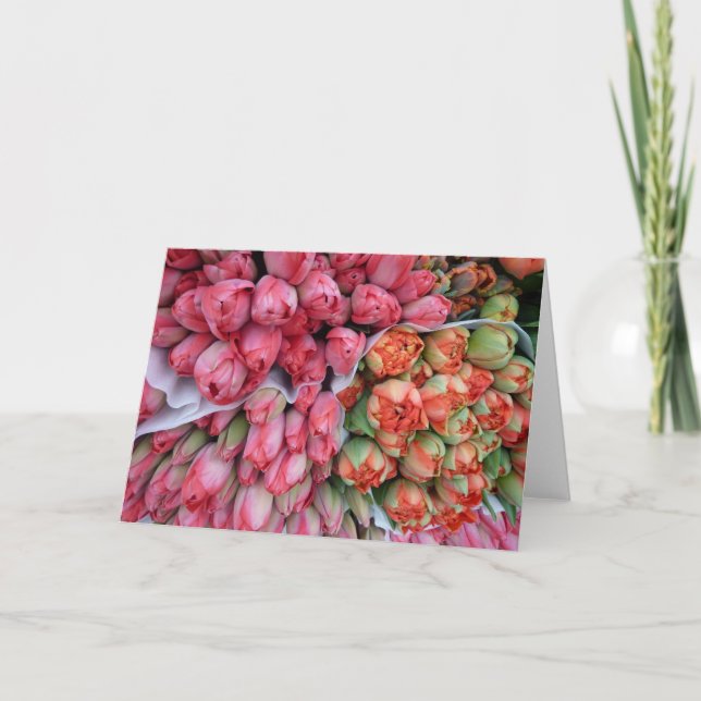 TARJETA DE SATISFACCIÓN Bellos Tulipanes en Franci (Anverso)