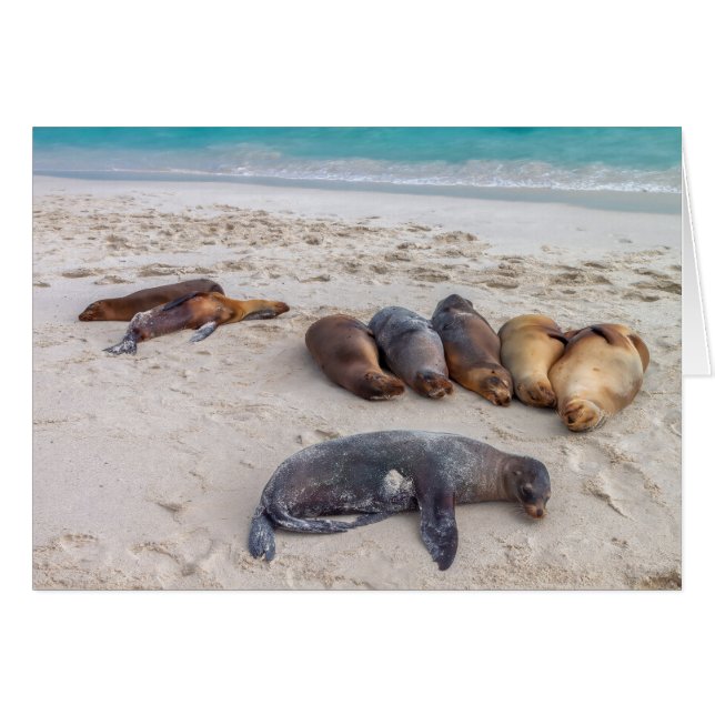 Tarjeta de sello (Anverso (Horizontal))