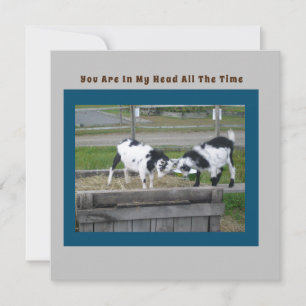 Tarjeta de sentido de la cabra