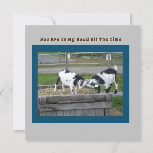 Tarjeta de sentido de la cabra (Anverso)