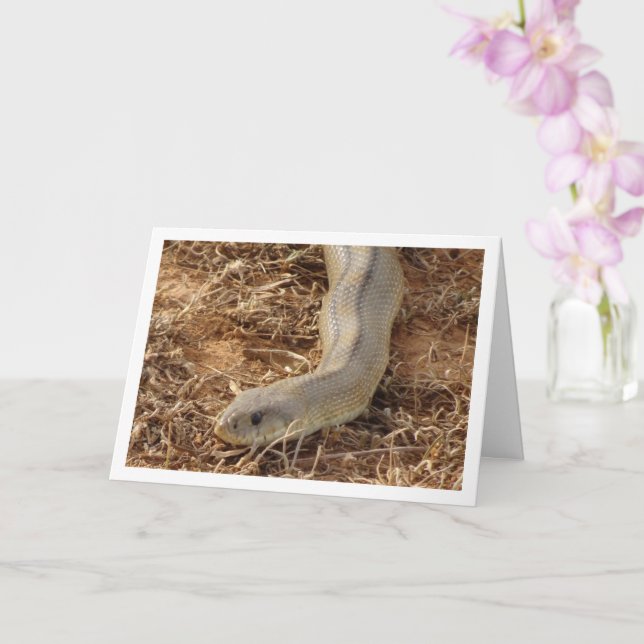 Tarjeta de serpiente de carga (Orquídea)