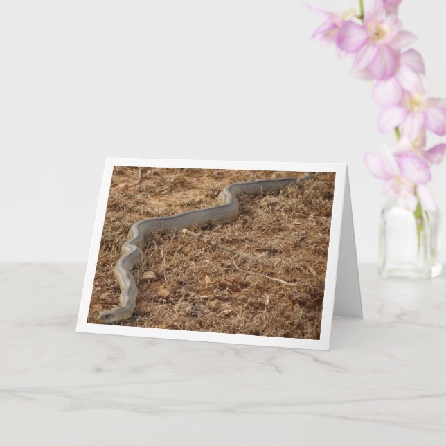 Tarjeta de serpiente de carga (Orquídea)