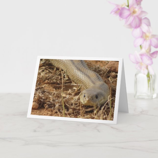 Tarjeta de serpiente de carga