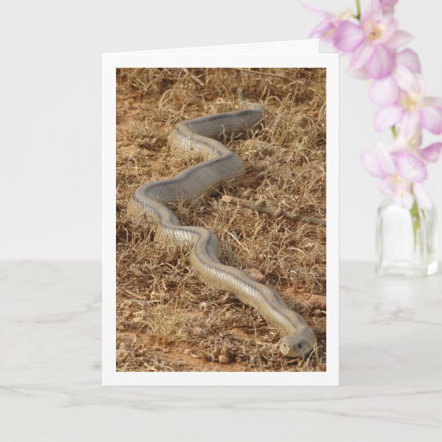 Tarjeta de serpiente de carga (Orquídea)