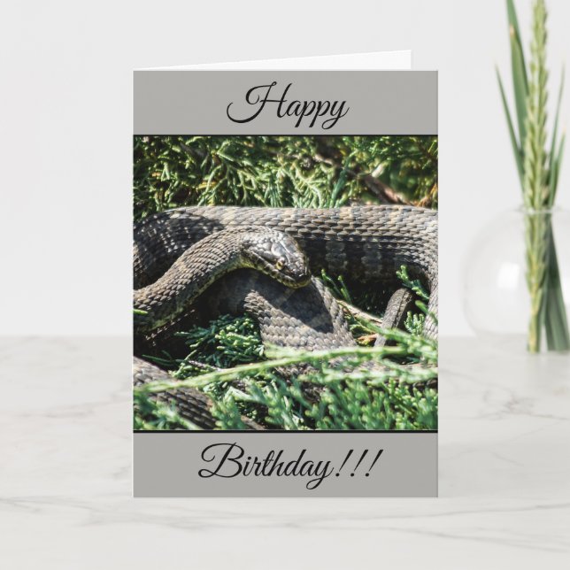 Tarjeta de serpiente de cumpleaños feliz personali (Anverso)
