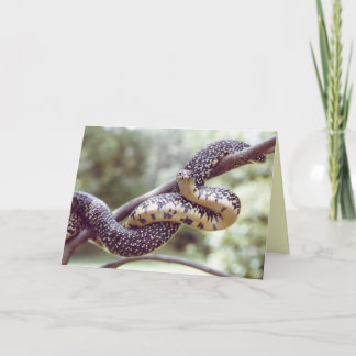 Tarjeta de serpiente King