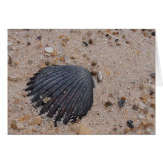 Tarjeta de shell de vieira