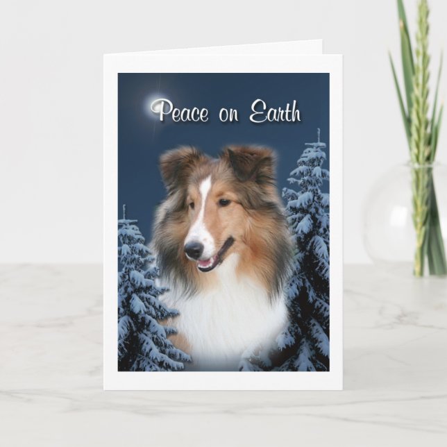 Tarjeta de Sheltie de la paz (Anverso)