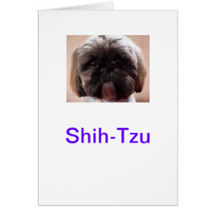 Tarjeta de Shih-Tzu