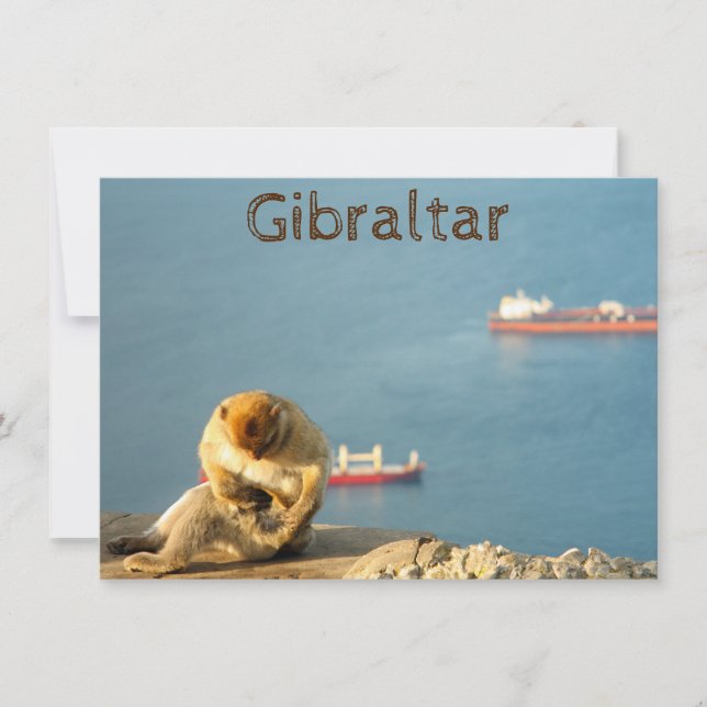 Tarjeta de simio barbarie de Gibraltar (Anverso)
