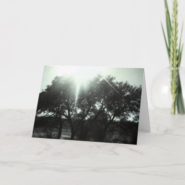 Tarjeta de simpatía (Anverso)