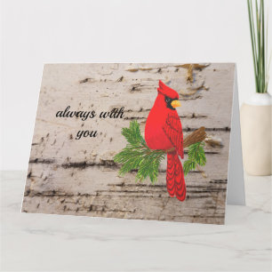 Tarjeta de simpatía, cardenal rojo, tarjeta de ref