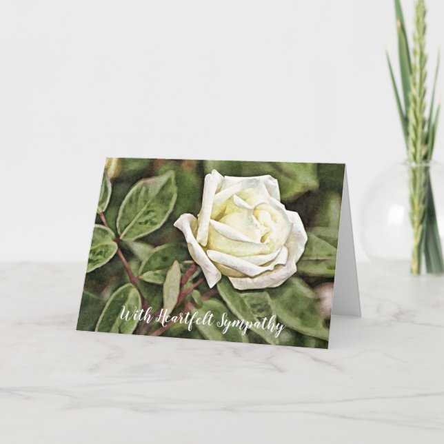 Tarjeta de simpatía con rosa blanca pintada (Anverso)