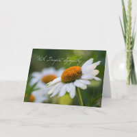 Tarjeta de simpatía Daisy