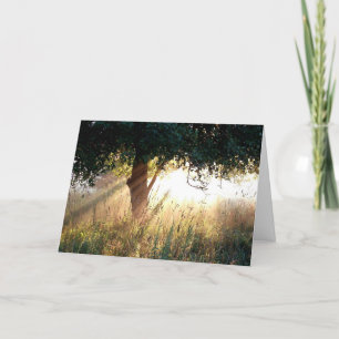Tarjeta de simpatía Dawn Deepest