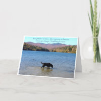 Tarjeta de simpatía de Black Lab - Simpatía del pe