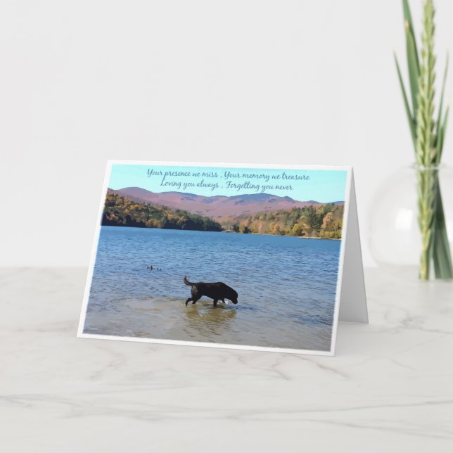 Tarjeta de simpatía de Black Lab - Simpatía del pe (Anverso)