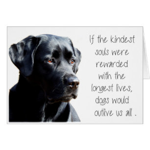 Tarjeta de simpatía de Black Lab - Simpatía del pe