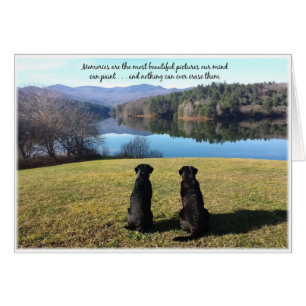Tarjeta de simpatía de Black Lab - Simpatía del pe