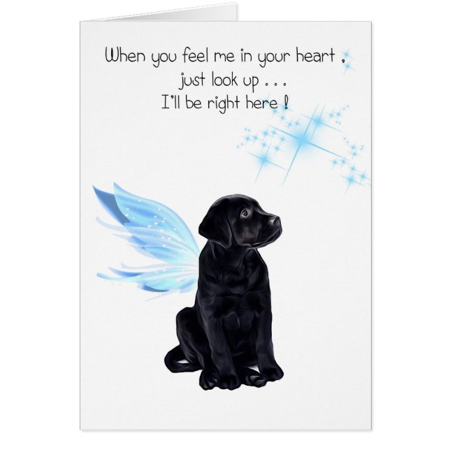 Tarjeta de simpatía de Black Lab - Simpatía del pe (Frente)