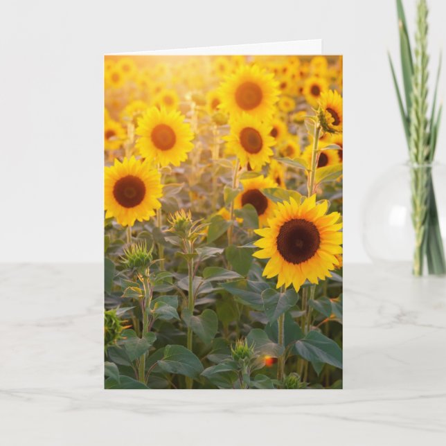 TARJETA DE SIMPATÍA DE CAMPO DE GIRASOLES (Anverso)