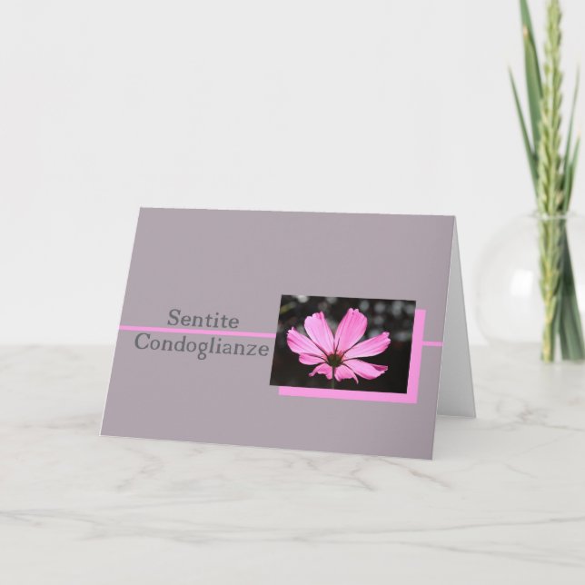 tarjeta de simpatía de cosmos rosa italiana (Anverso)