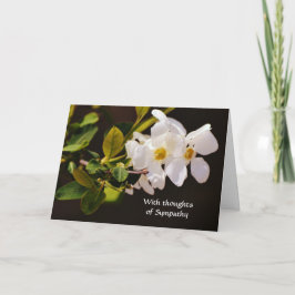 Tarjeta de simpatía de Flores de Flores Blancas de