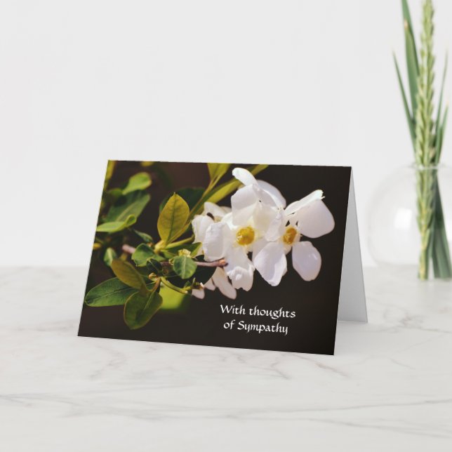 Tarjeta de simpatía de Flores de Flores Blancas de (Anverso)