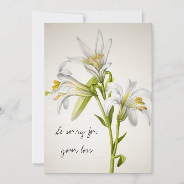 Tarjeta de simpatía de flores de lirio blanco vint (Anverso)