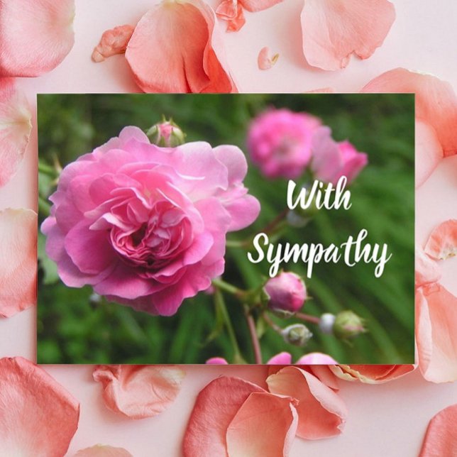 Tarjeta de simpatía de fuente grande de rosas rosa (Subido por el creador)