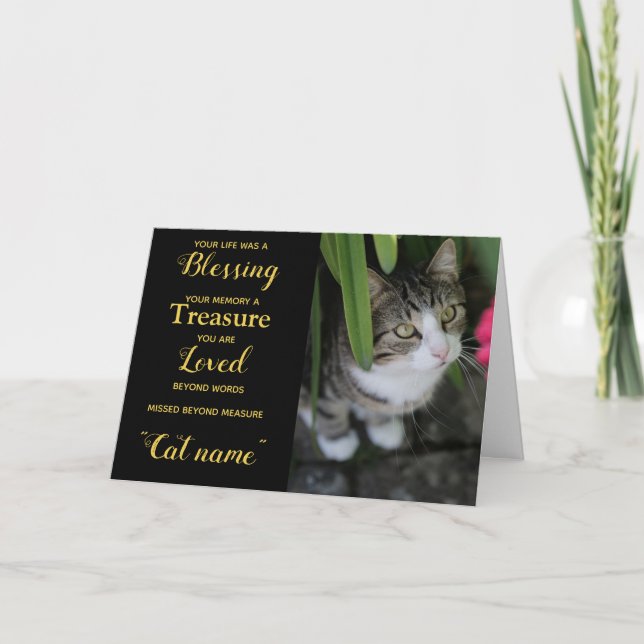 Tarjeta de simpatía de gato con foto personalizada (Anverso)