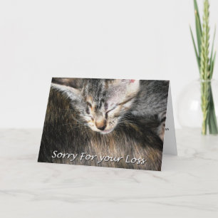 Tarjeta De Simpatía De Gato De mascota, Pérdida De