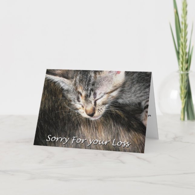 Tarjeta De Simpatía De Gato De mascota, Pérdida De (Anverso)