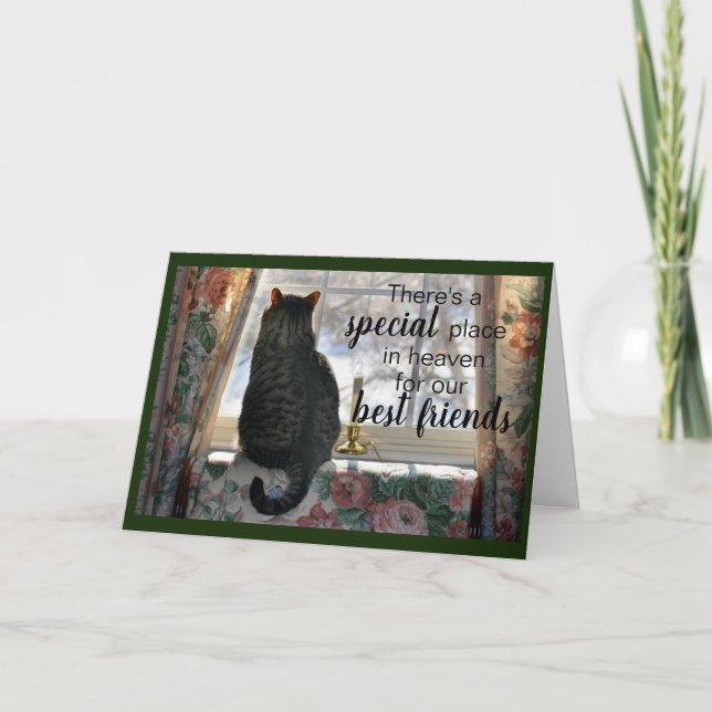 Tarjeta de simpatía de gato en ventana (Anverso)