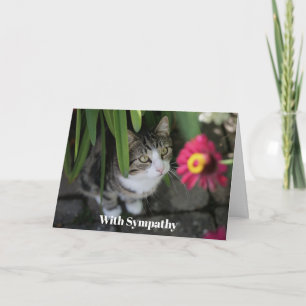 Tarjeta de simpatía de gato personalizada Memorial