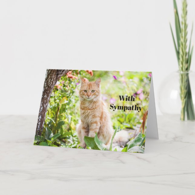 Tarjeta de simpatía de gato personalizada Memorial (Anverso)