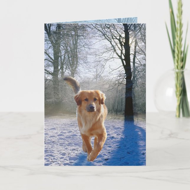 Tarjeta de simpatía de Golden Retriever (Anverso)