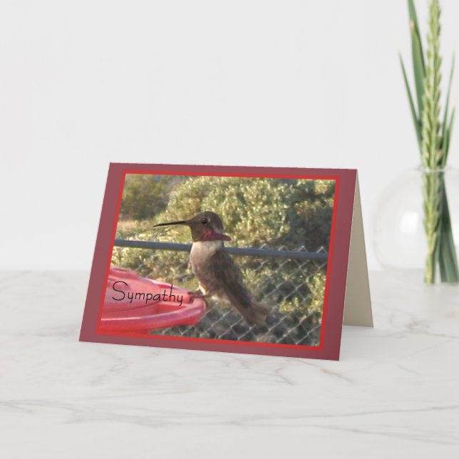 Tarjeta de simpatía de Hummingbird para cualquiera (Anverso)