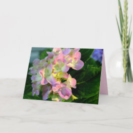 Tarjeta de simpatía de Hydrangea Rosa Sunlit