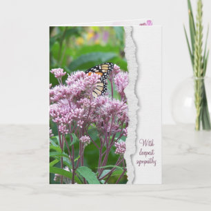 Tarjeta de simpatía de la mariposa monarca