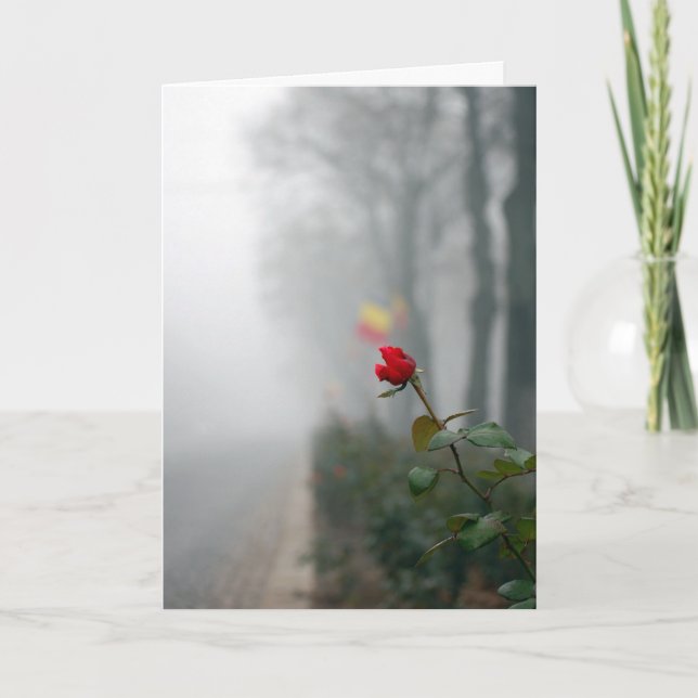 Tarjeta de simpatía de la rosa roja (Anverso)